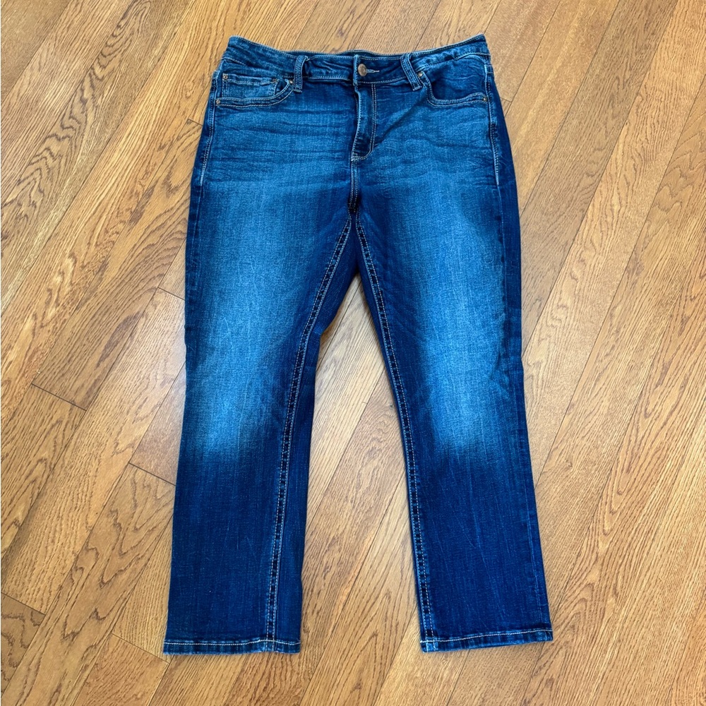 Daytrip Indigo Straight Leg Jeans